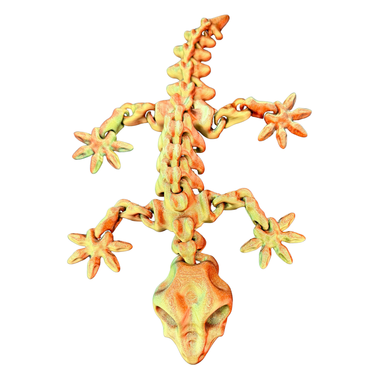 Baby Gecko Skeleton