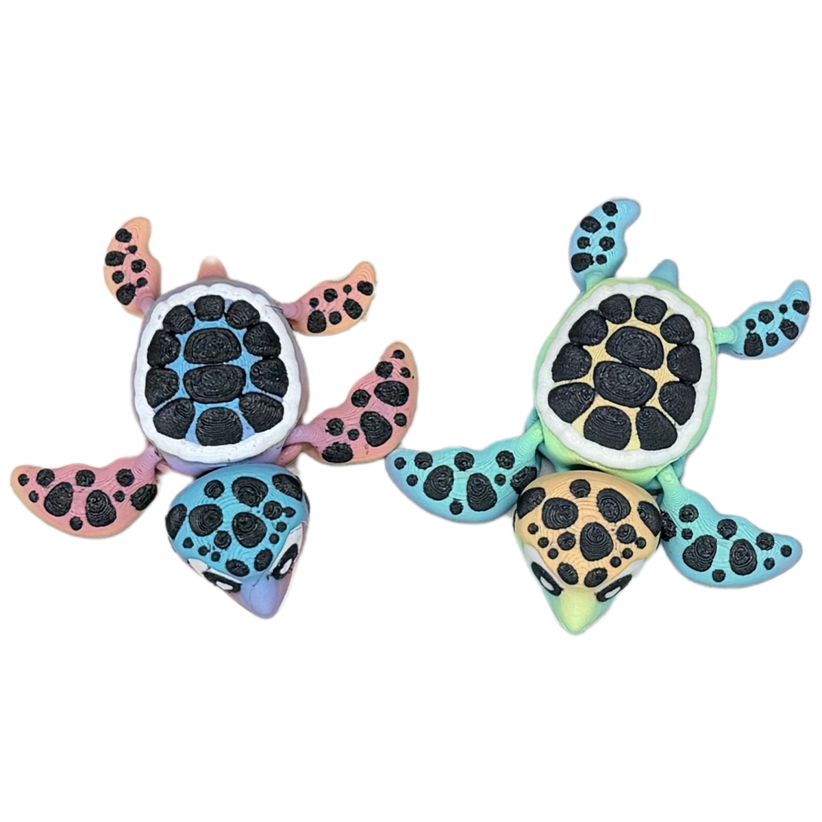 Rainbow Sea Turtle