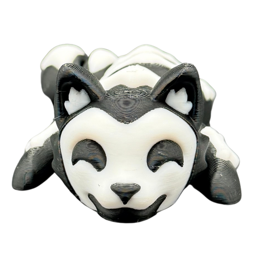 Skeleton Cat