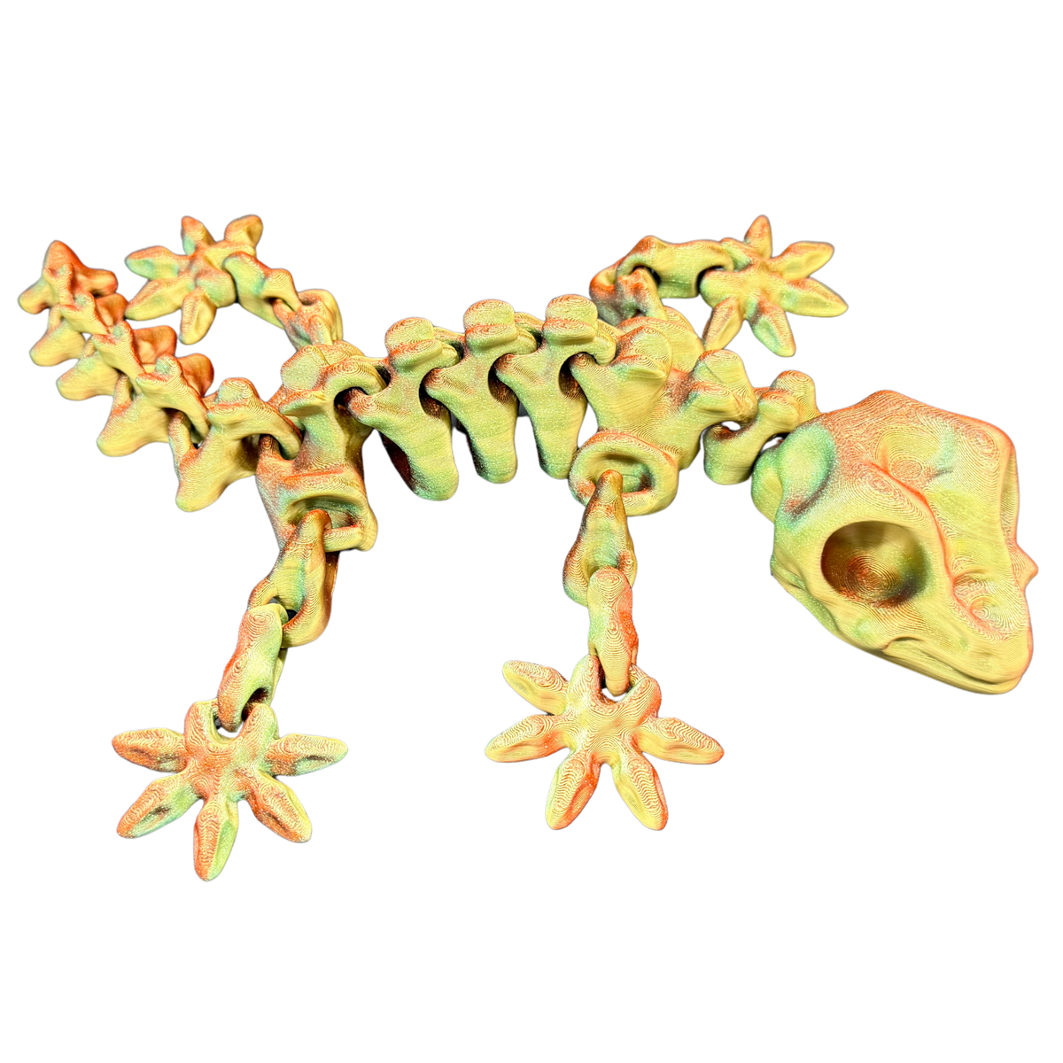 Baby Gecko Skeleton