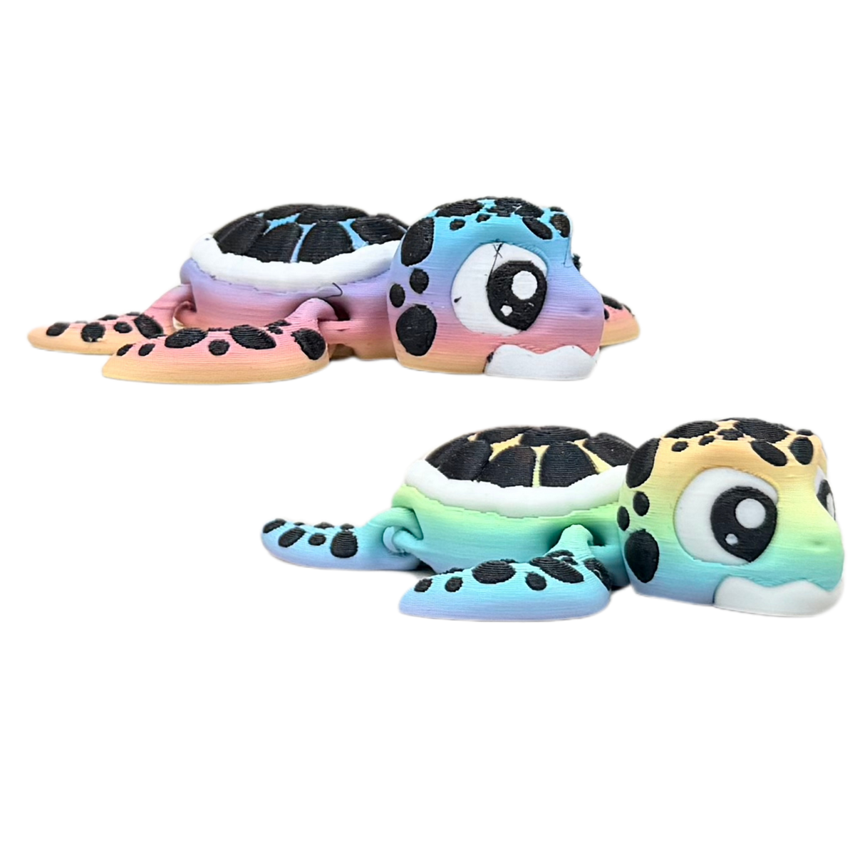 Rainbow Sea Turtle