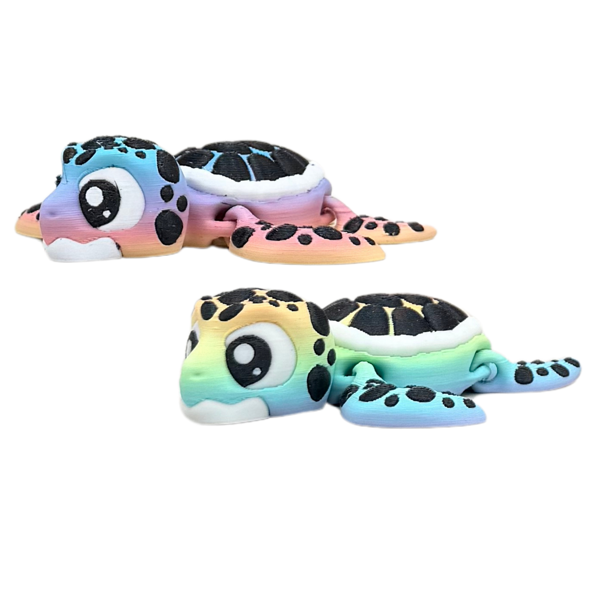 Rainbow Sea Turtle