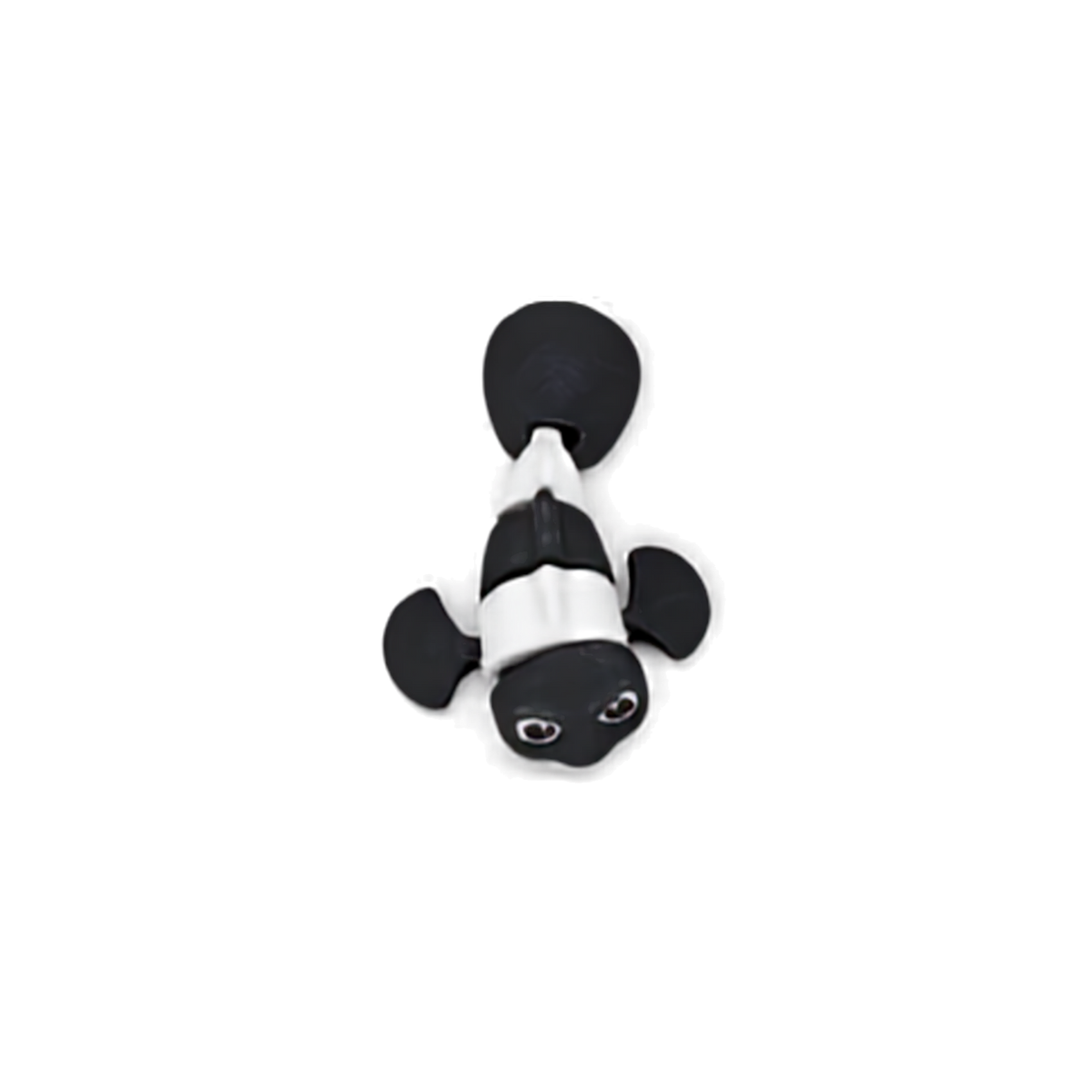 Clown Fish