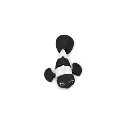 Clown Fish