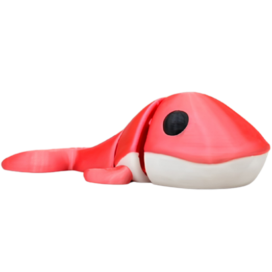 Wiggly Whale