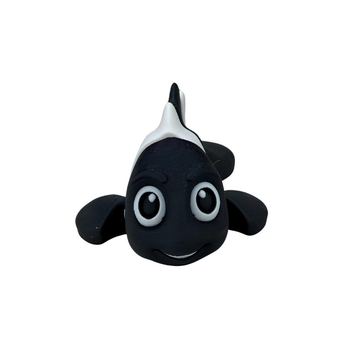 Clown Fish