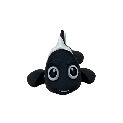 Clown Fish