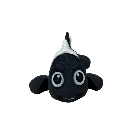 Clown Fish