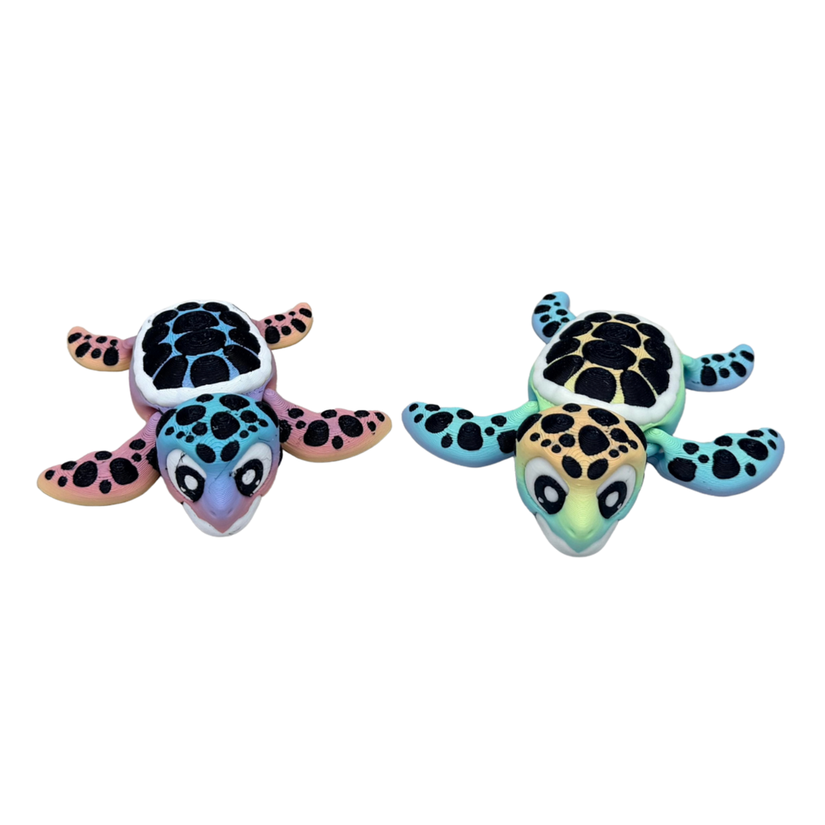 Rainbow Sea Turtle