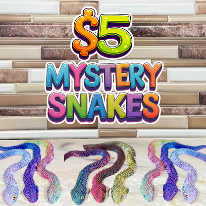 $5 Mystery Snakes
